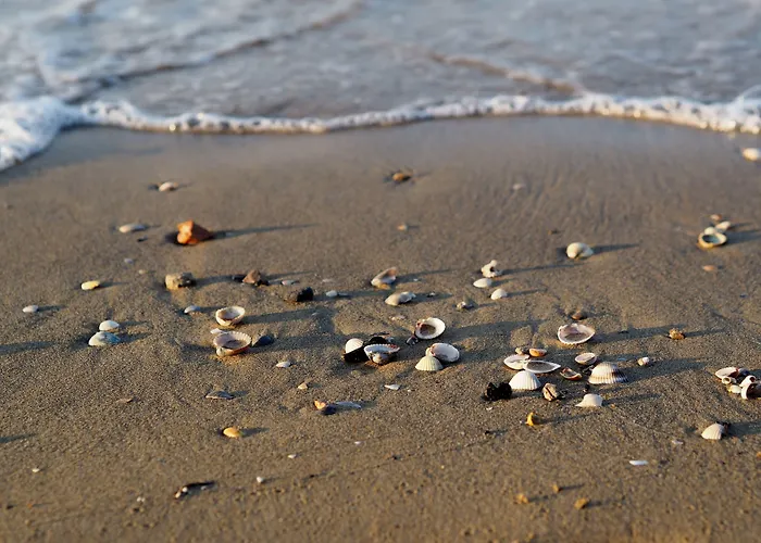 Modern Flat Close To The Lägenhet *